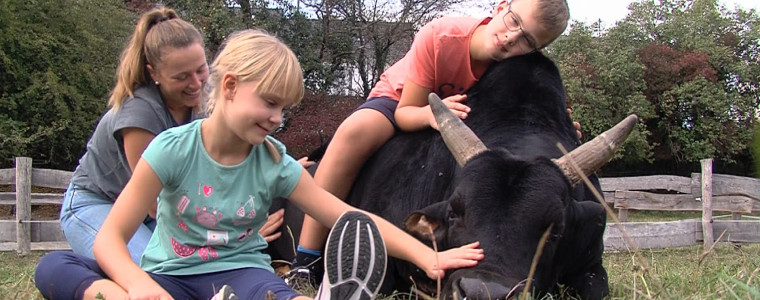 Auf dem Kinderbauernhof in Gomaringen